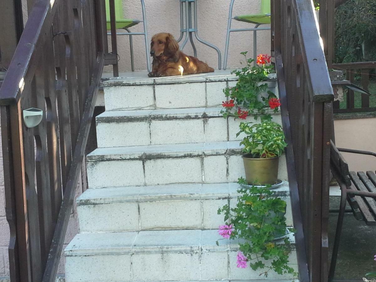 Utulny Privat Apartamento Veľký Meder Exterior foto